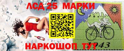 шишки Аргун