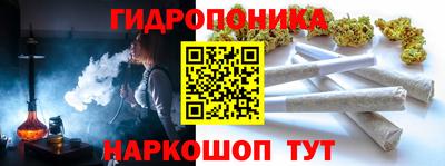 шишки Аргун