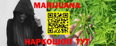 шишки Аргун