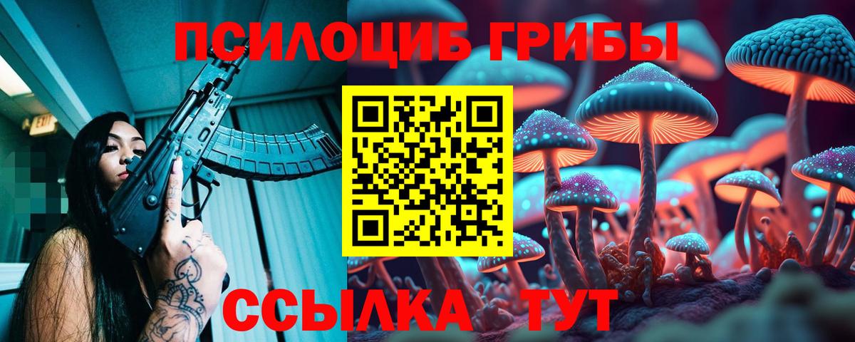 Псилоцибиновые грибы MAGIC MUSHROOMS  Псилоцибиновые грибы GOLDEN TEACHER  Вход с VPN  Вязники 